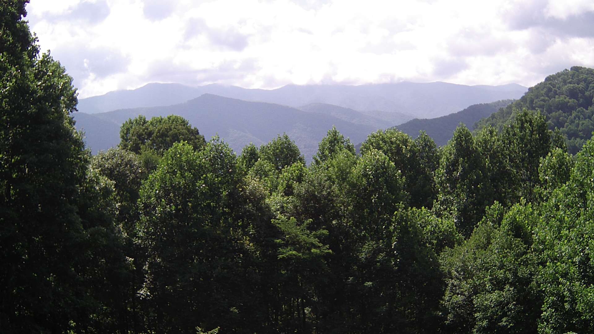 click for next image... slideshow image