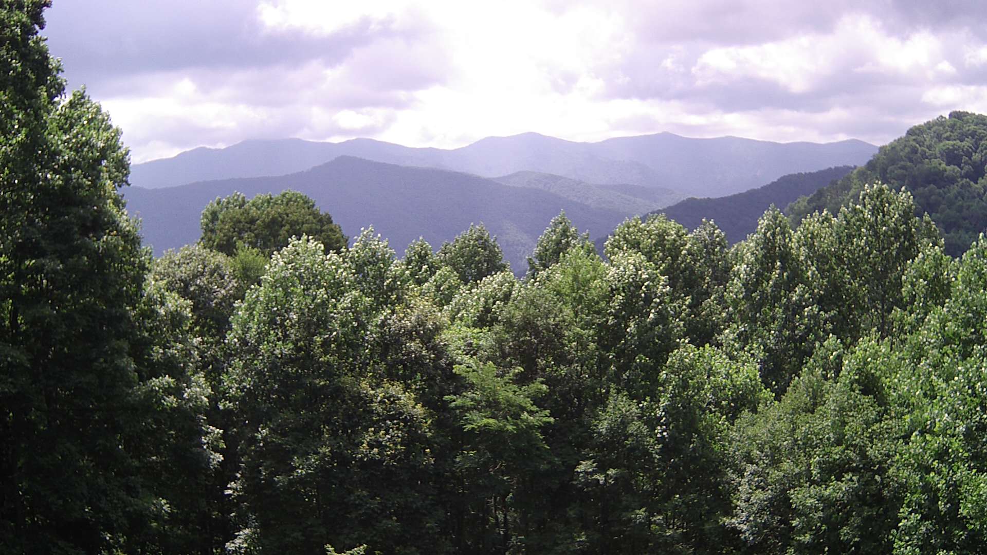 click for next image... slideshow image