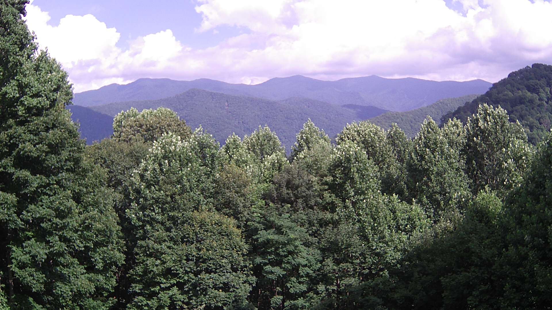 click for next image... slideshow image