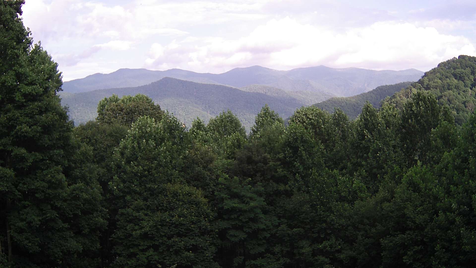 click for next image... slideshow image