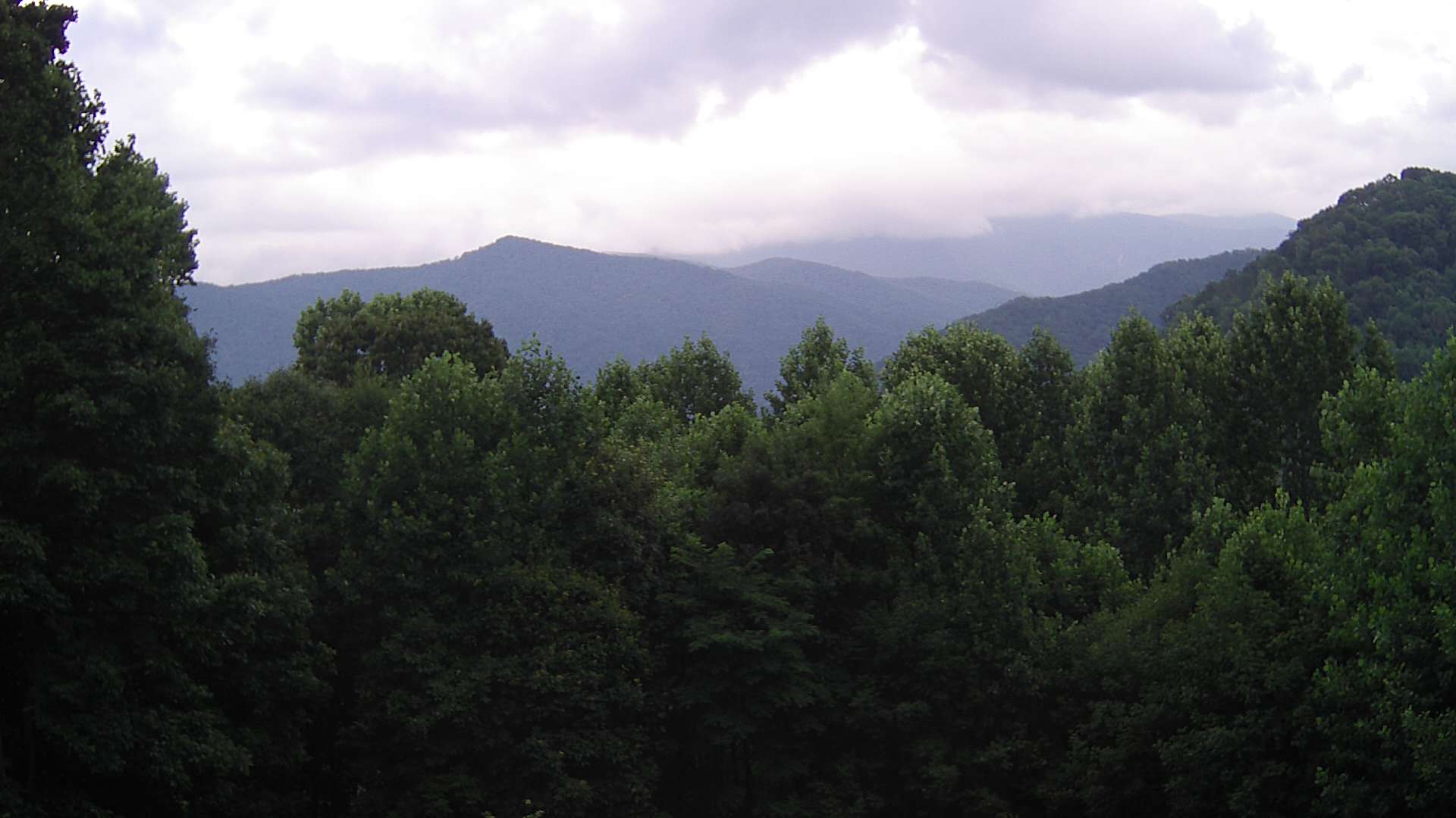 click for next image... slideshow image