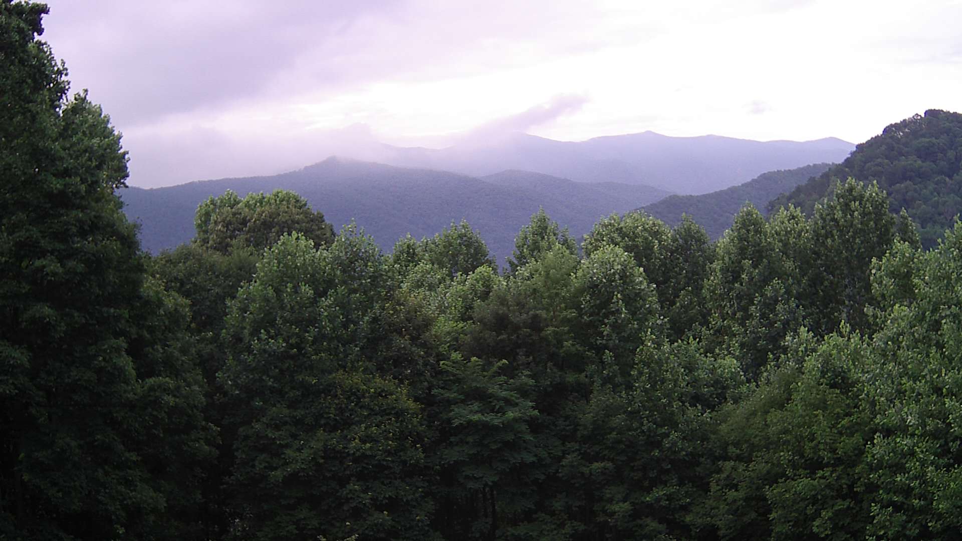 click for next image... slideshow image