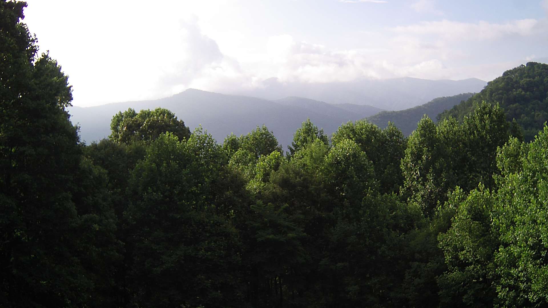 click for next image... slideshow image