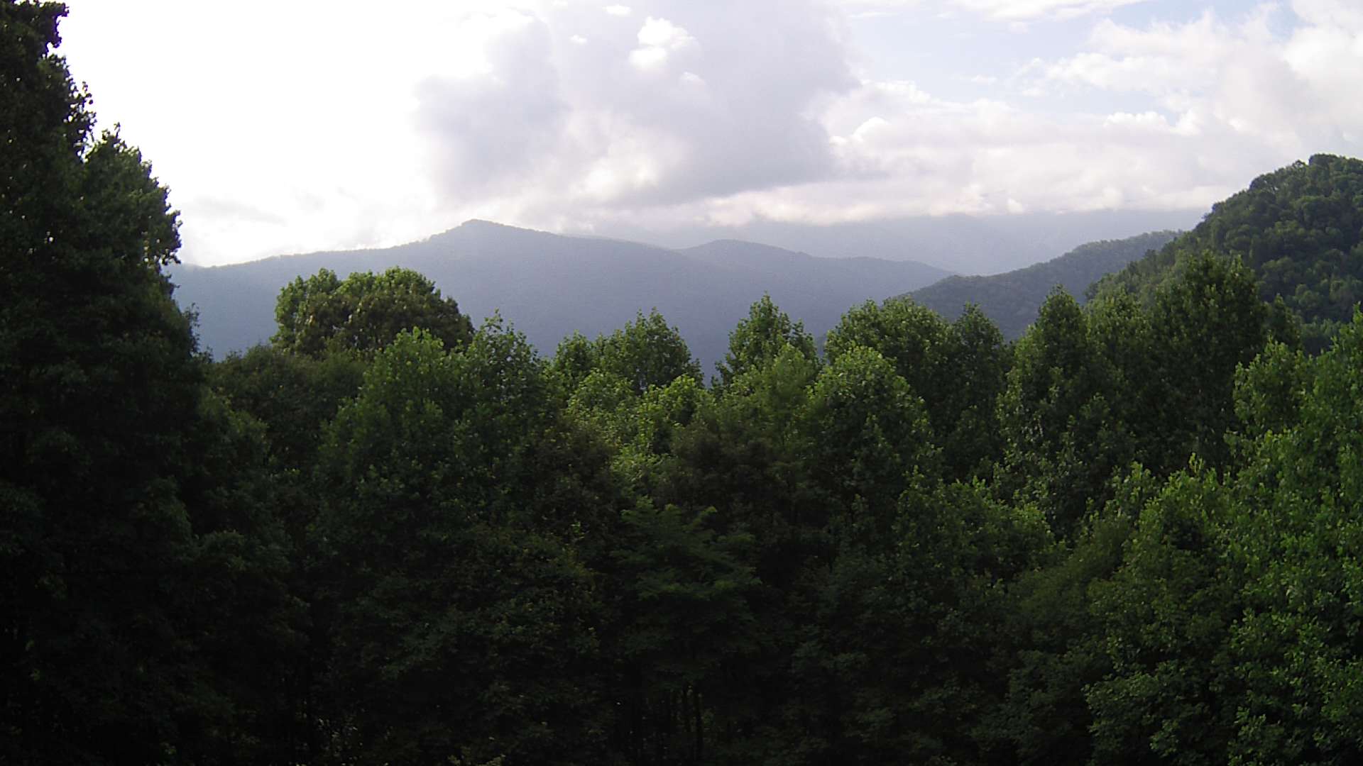 click for next image... slideshow image