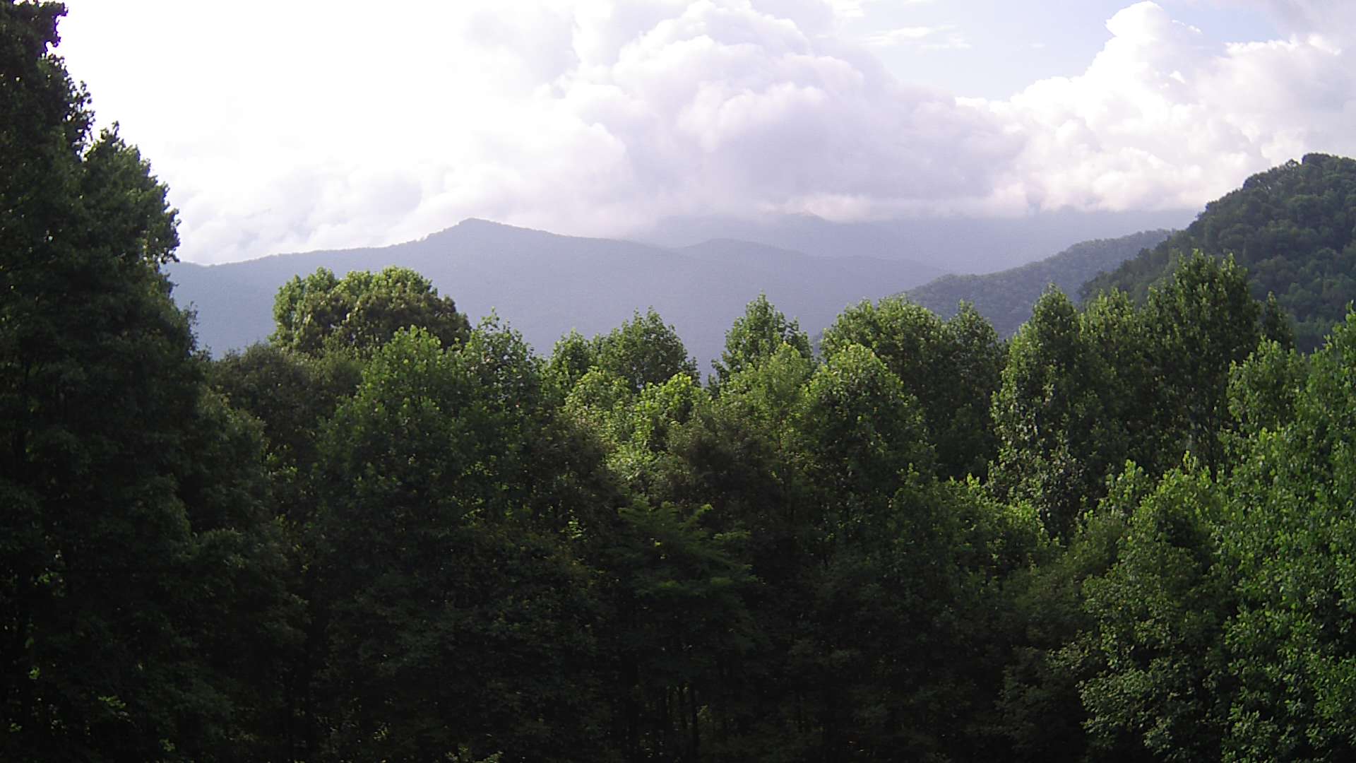 click for next image... slideshow image
