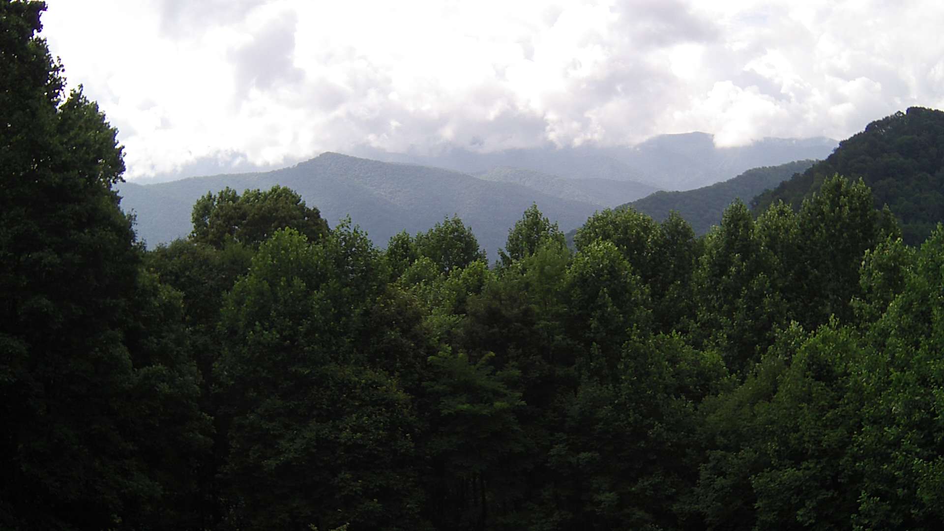 click for next image... slideshow image