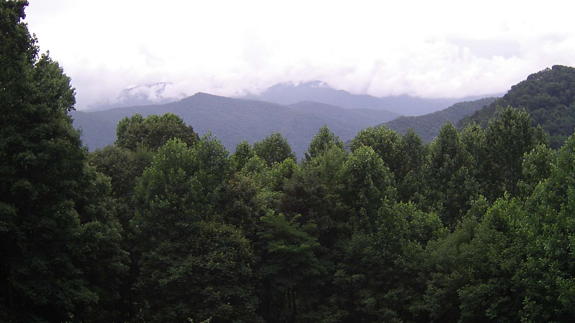 click for next image... slideshow image
