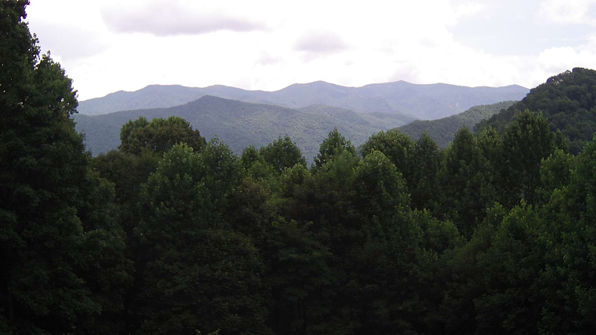 click for next image... slideshow image
