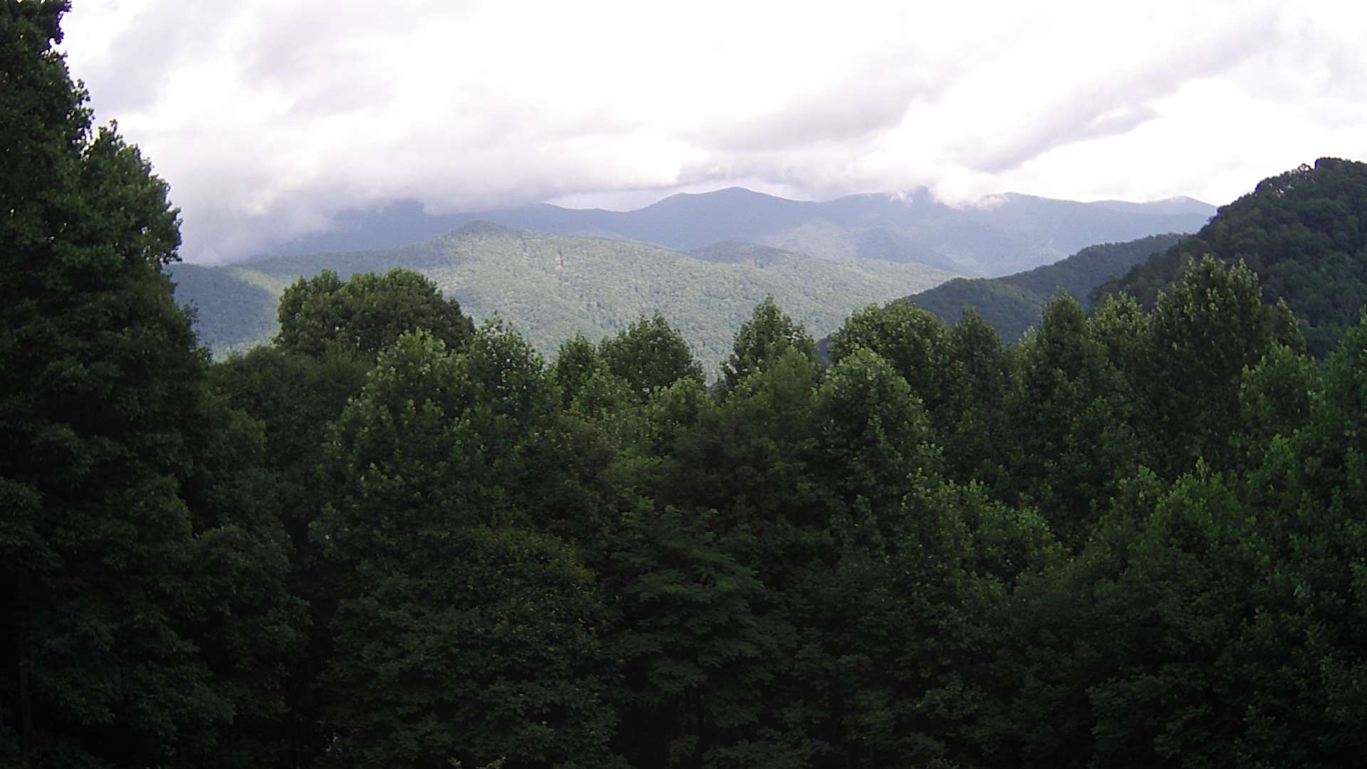 click for next image... slideshow image