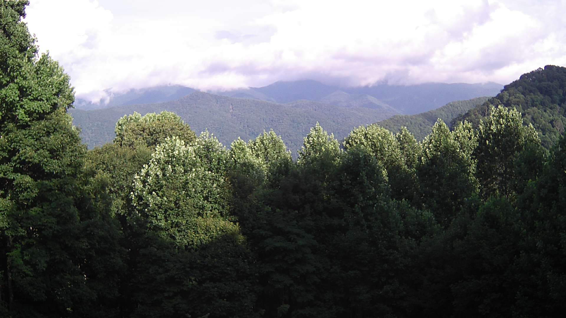 click for next image... slideshow image