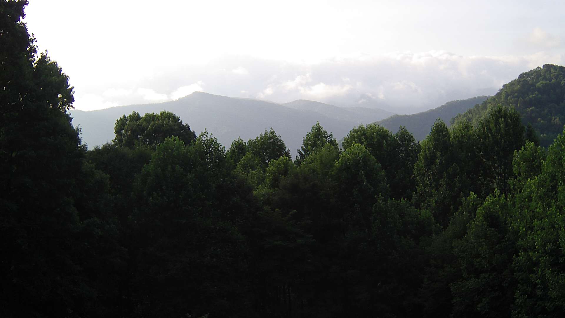 click for next image... slideshow image