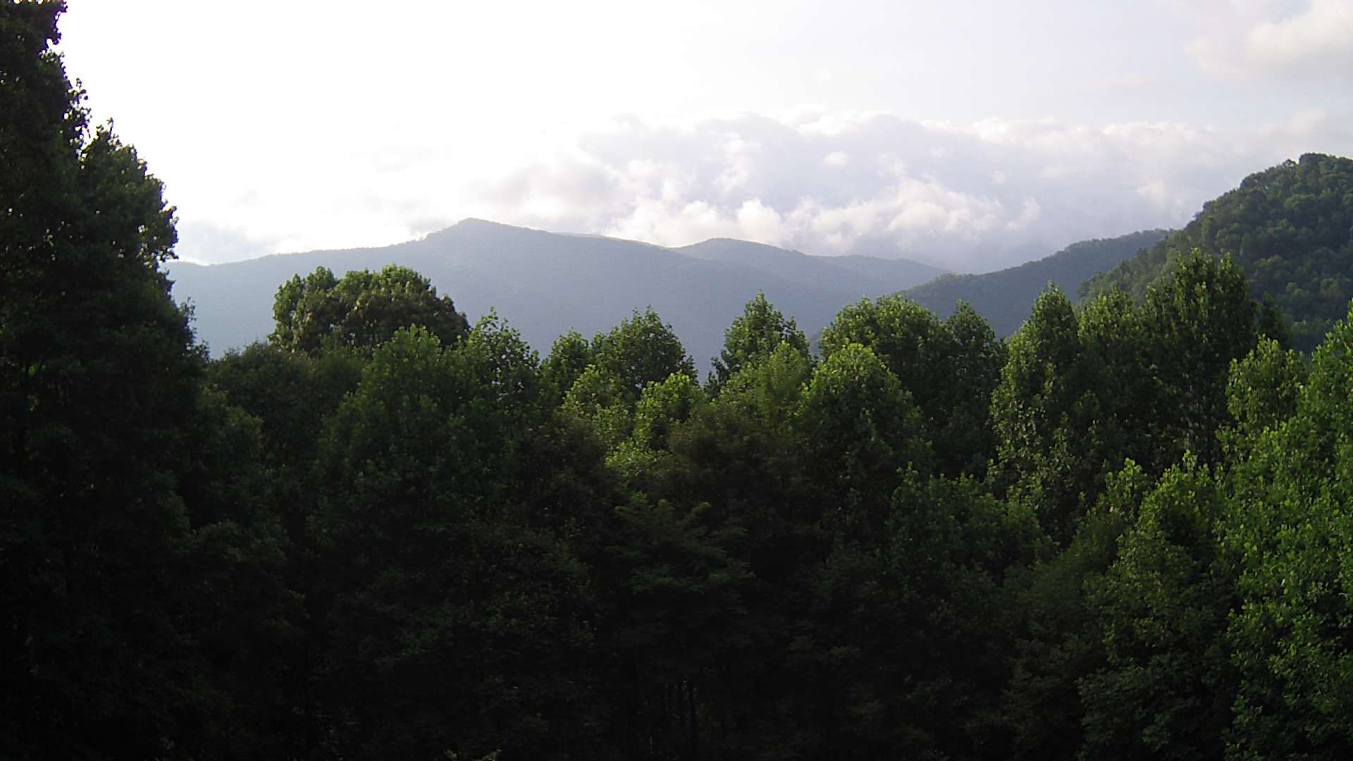 click for next image... slideshow image