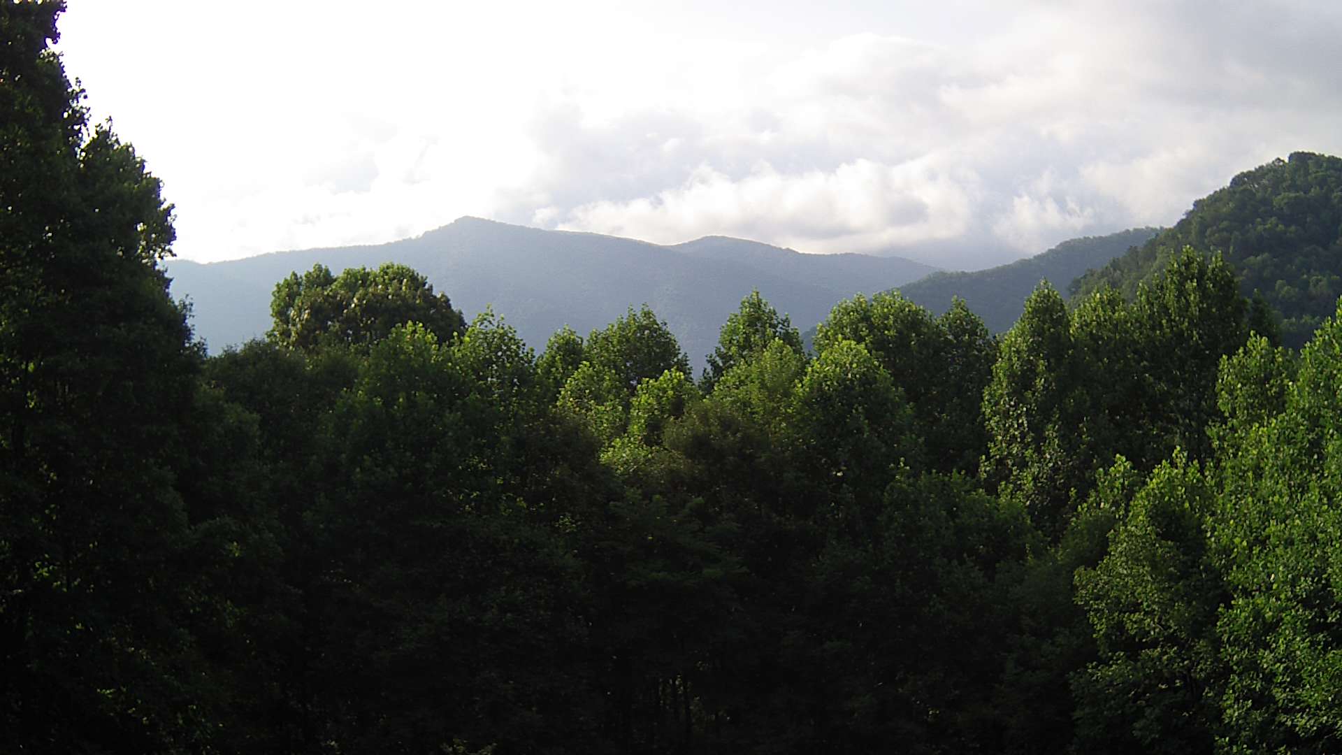 click for next image... slideshow image