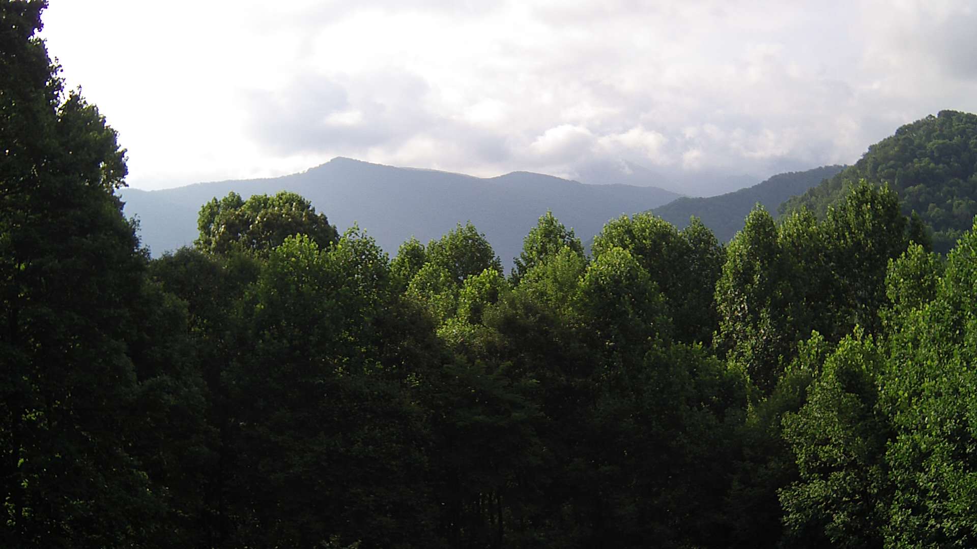 click for next image... slideshow image