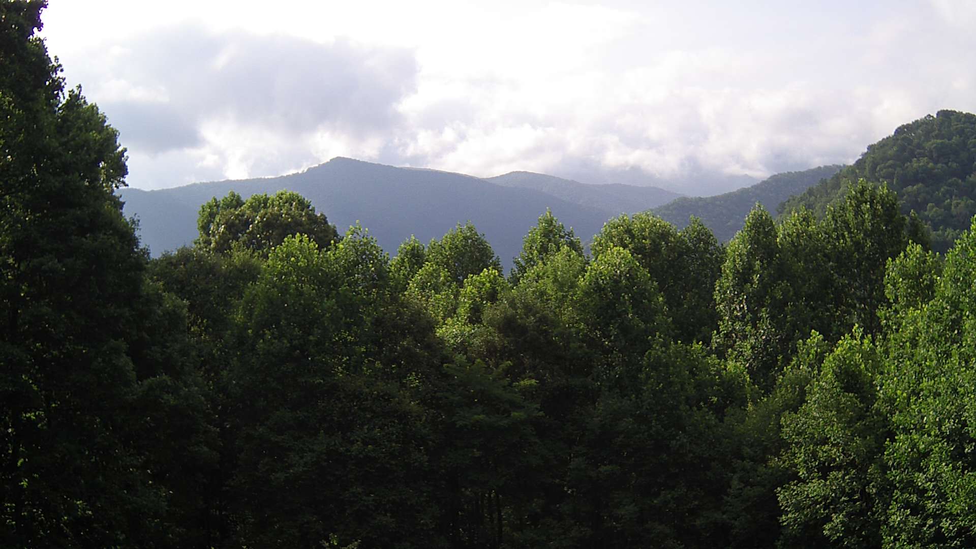 click for next image... slideshow image