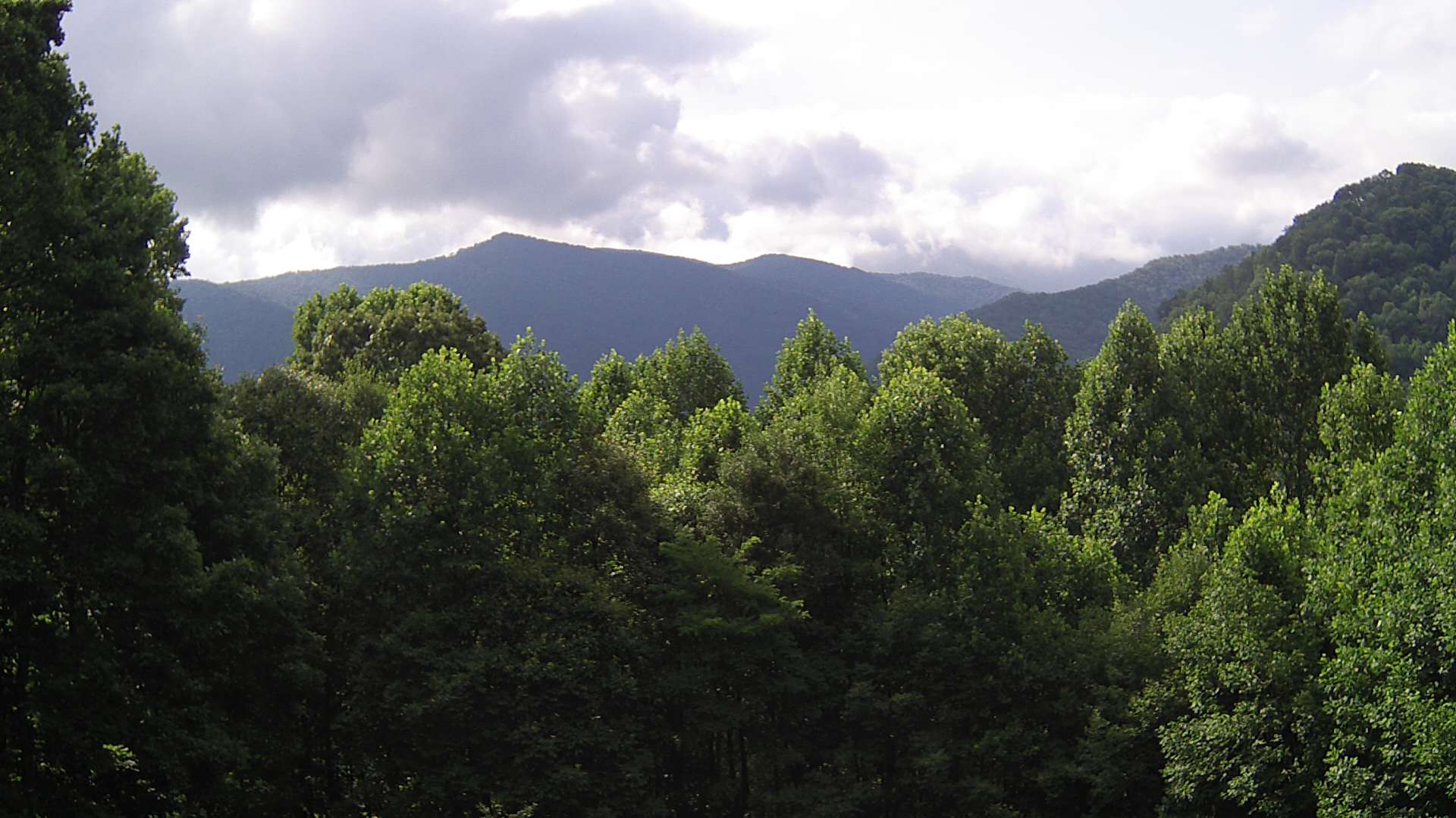 click for next image... slideshow image