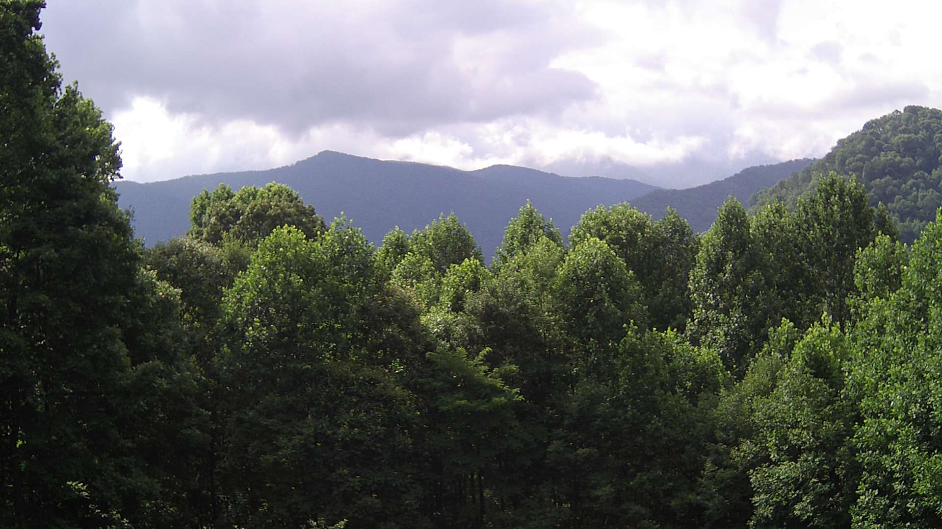 click for next image... slideshow image