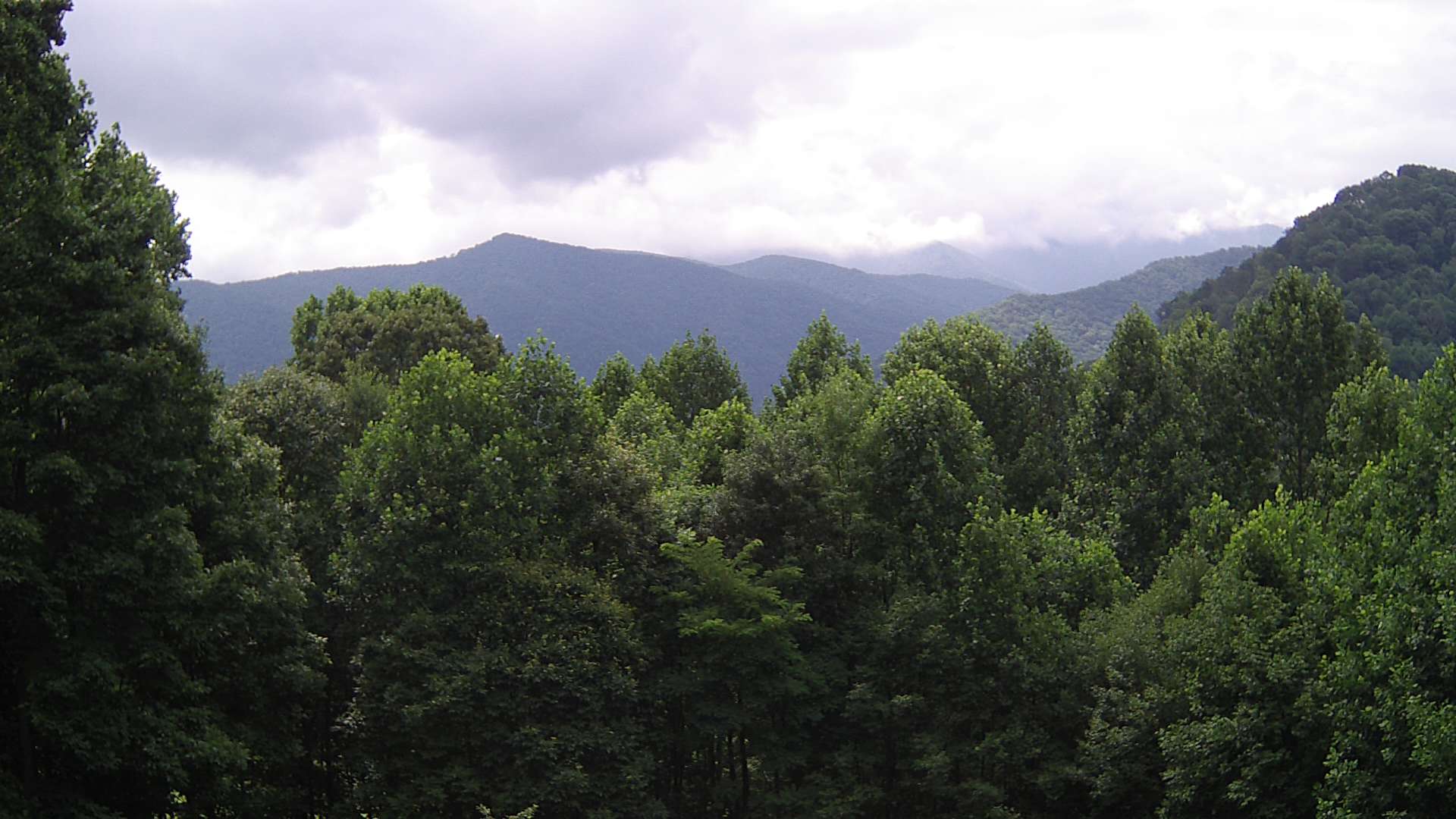 click for next image... slideshow image