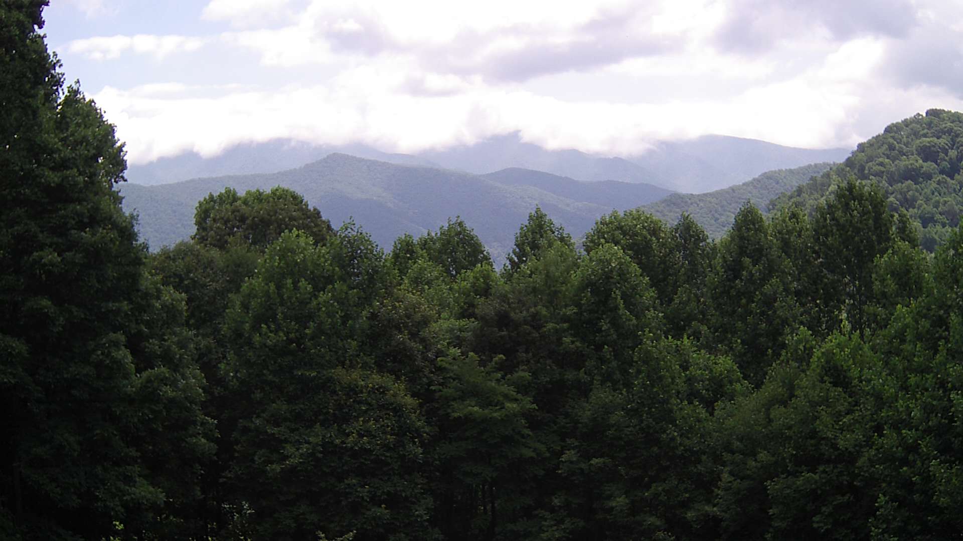 click for next image... slideshow image