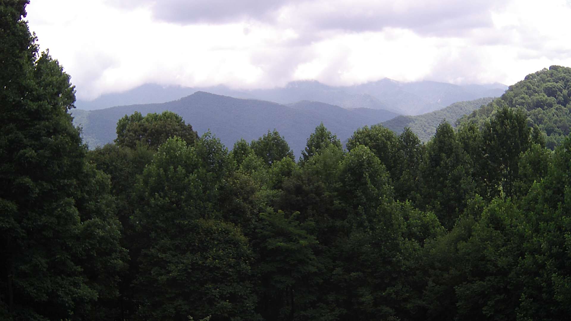 click for next image... slideshow image