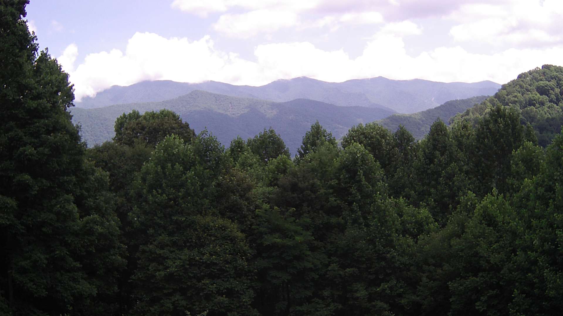 click for next image... slideshow image