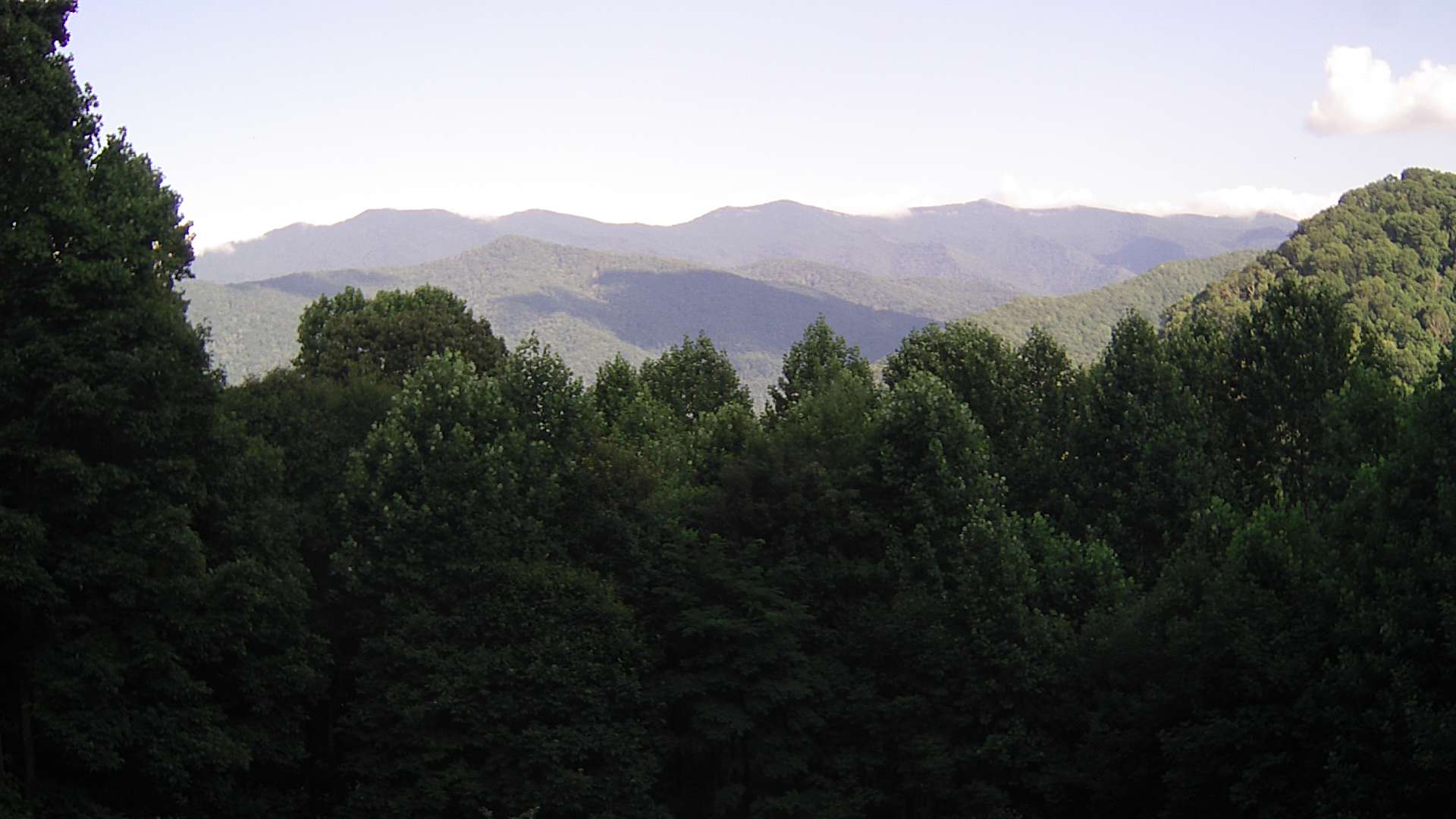 click for next image... slideshow image