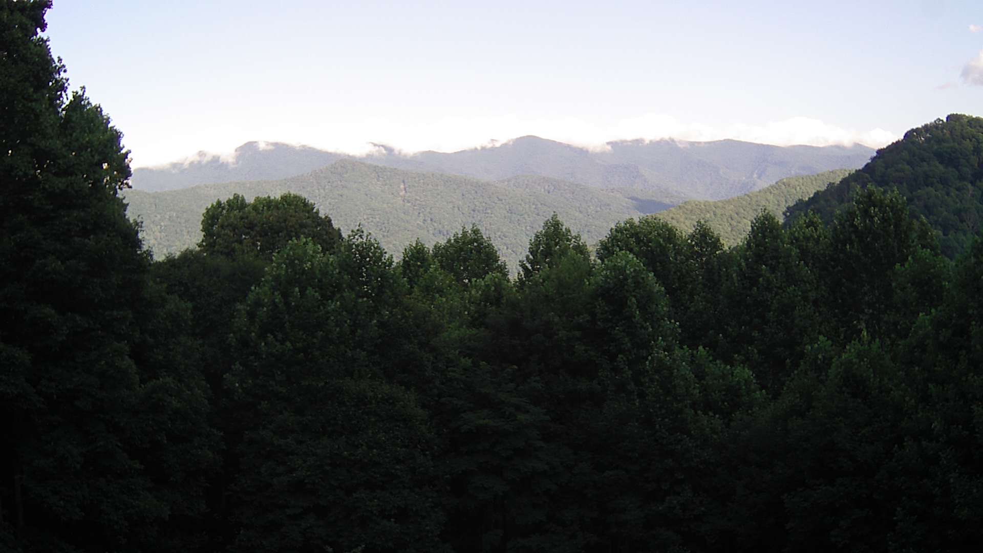 click for next image... slideshow image