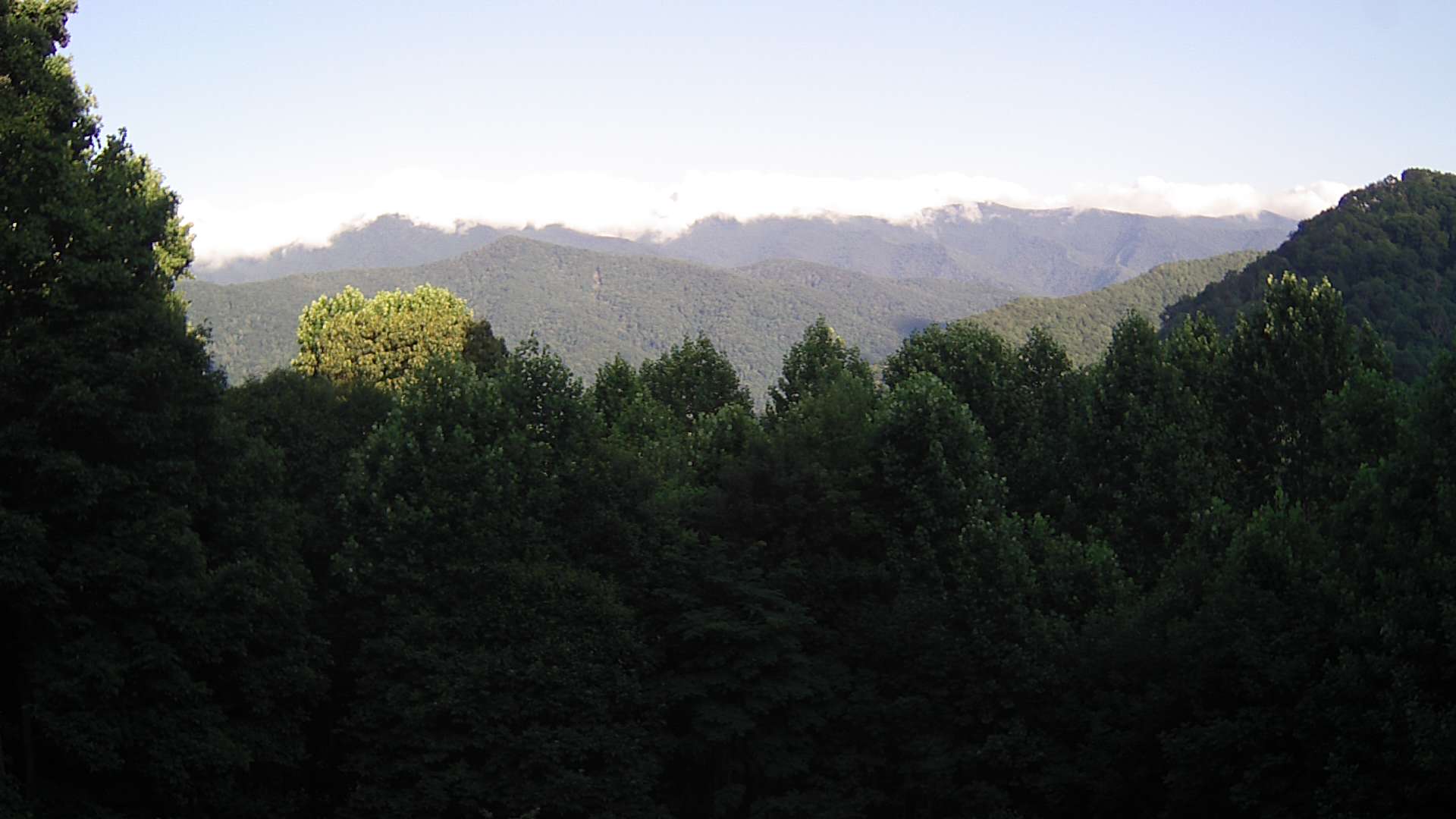 click for next image... slideshow image