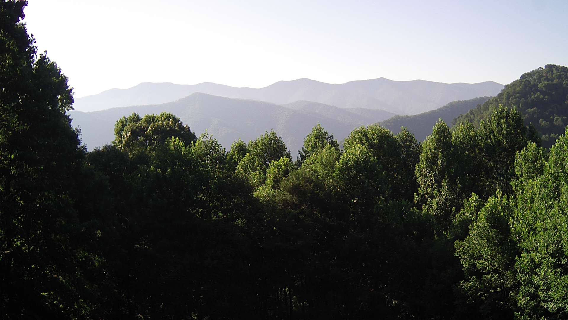 click for next image... slideshow image