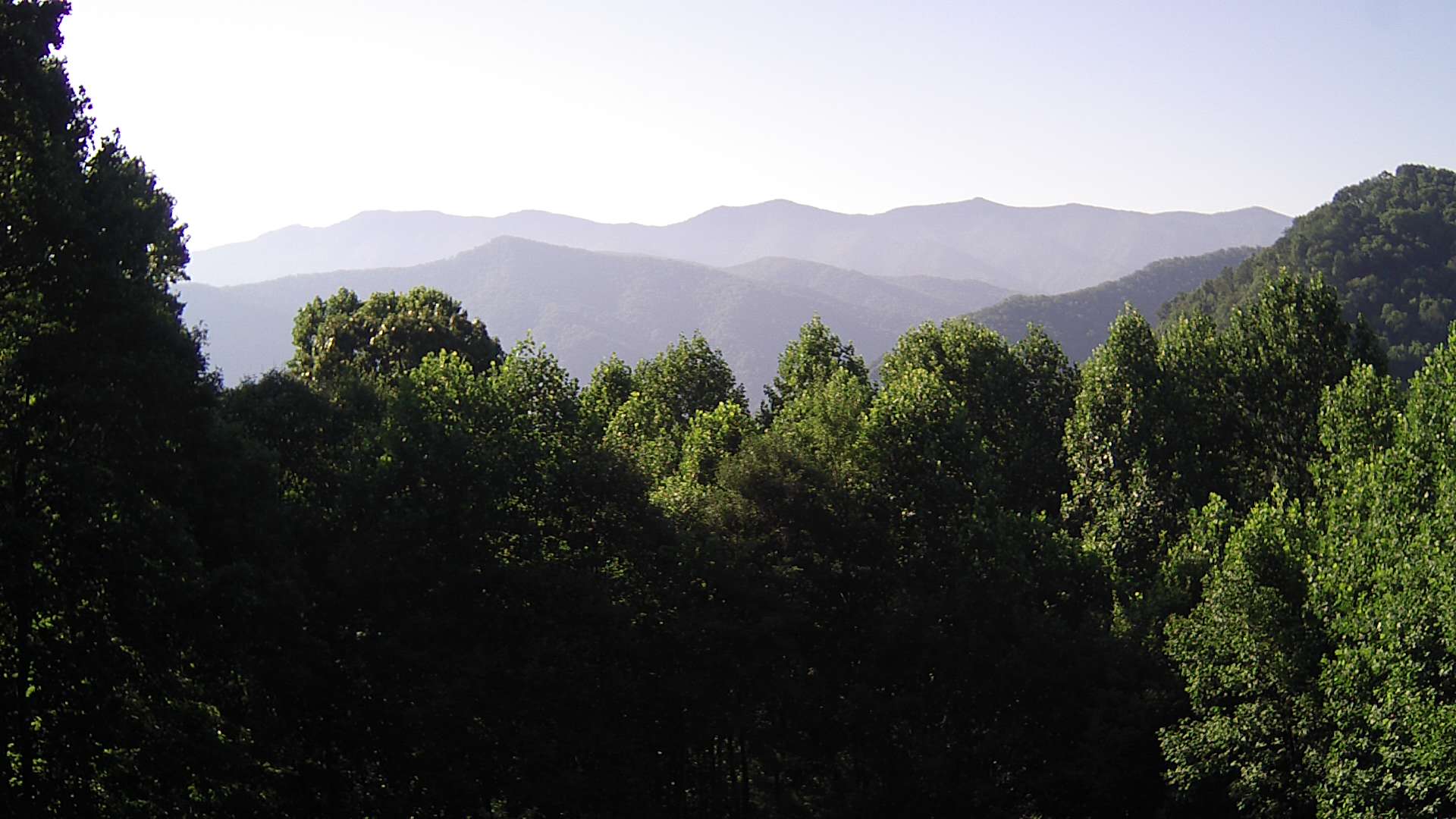 click for next image... slideshow image