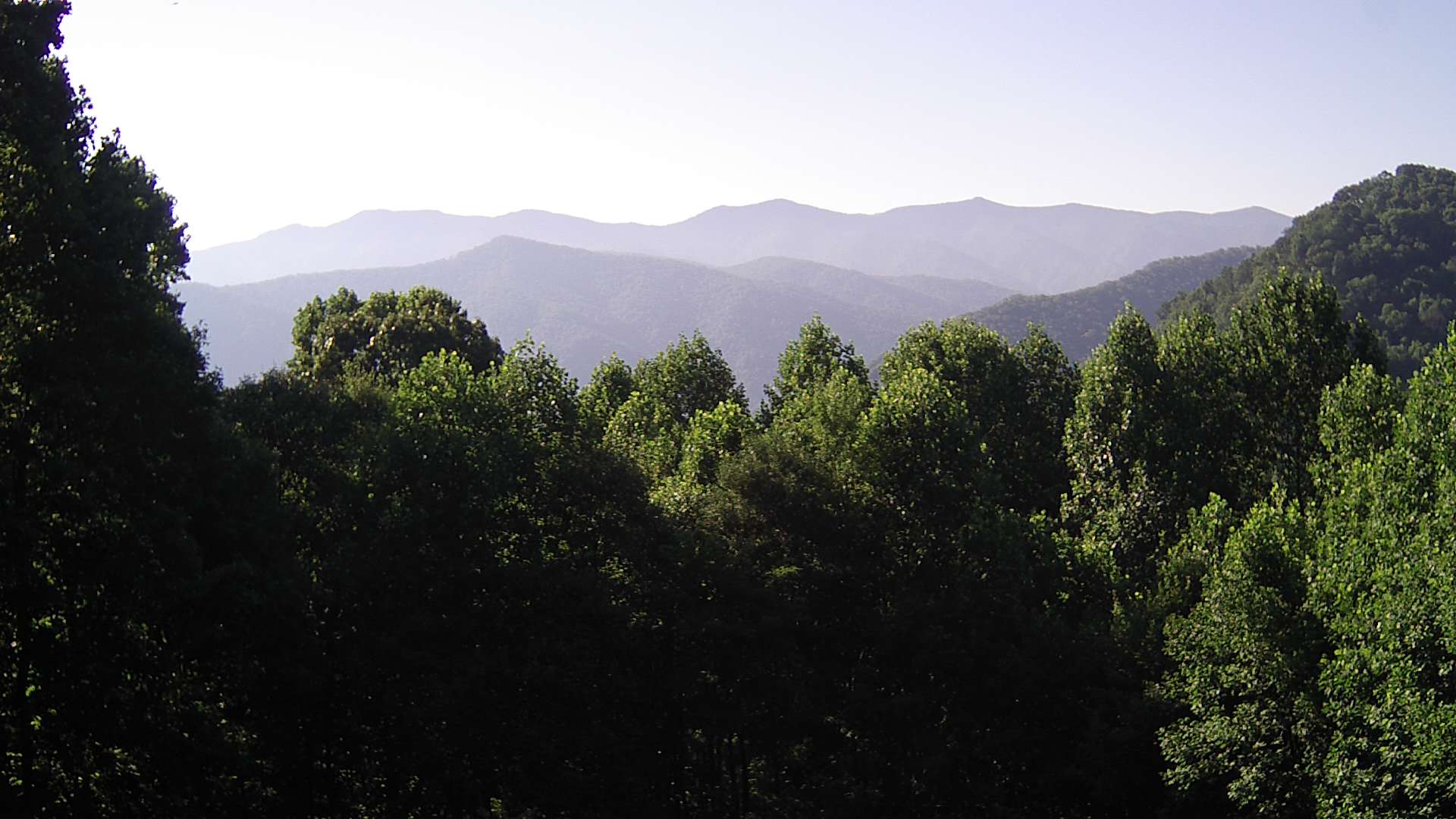 click for next image... slideshow image
