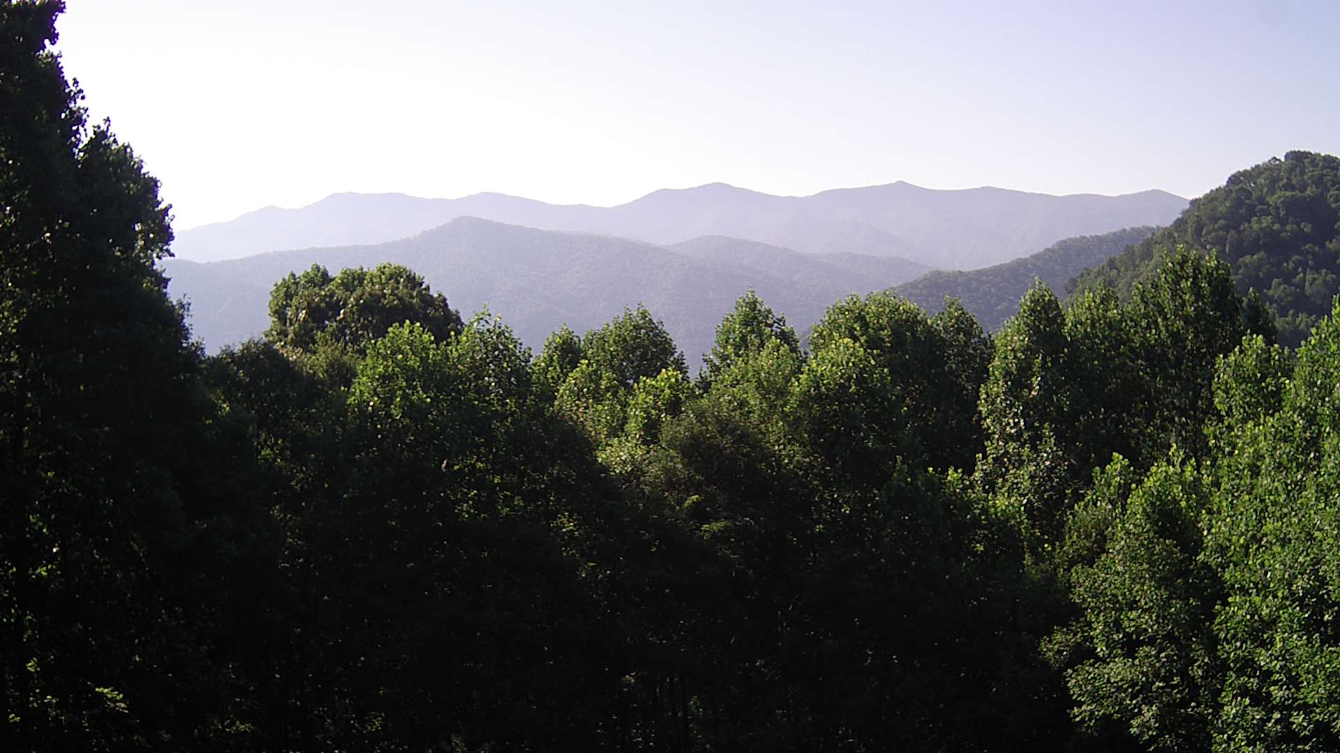 click for next image... slideshow image
