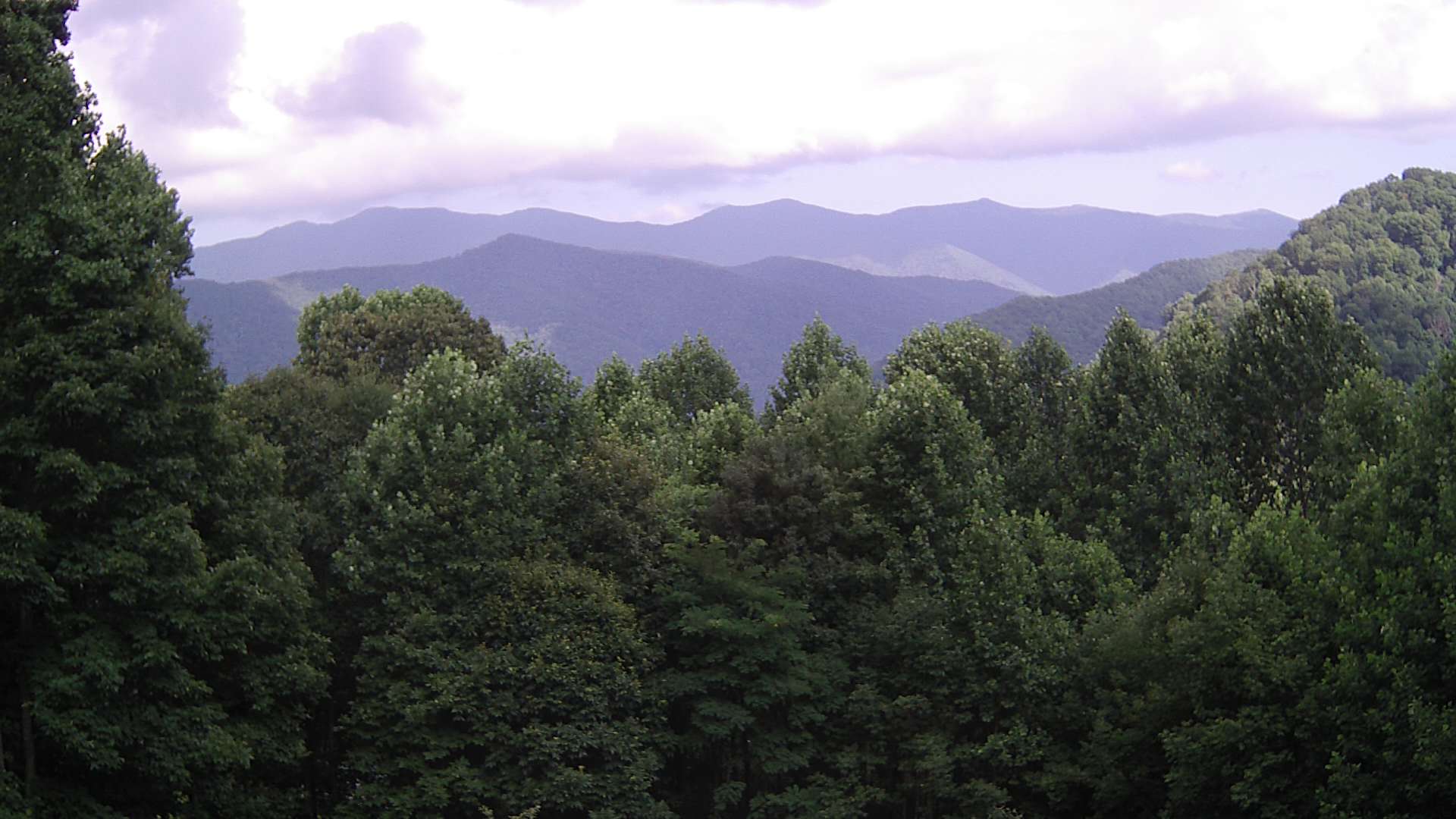 click for next image... slideshow image