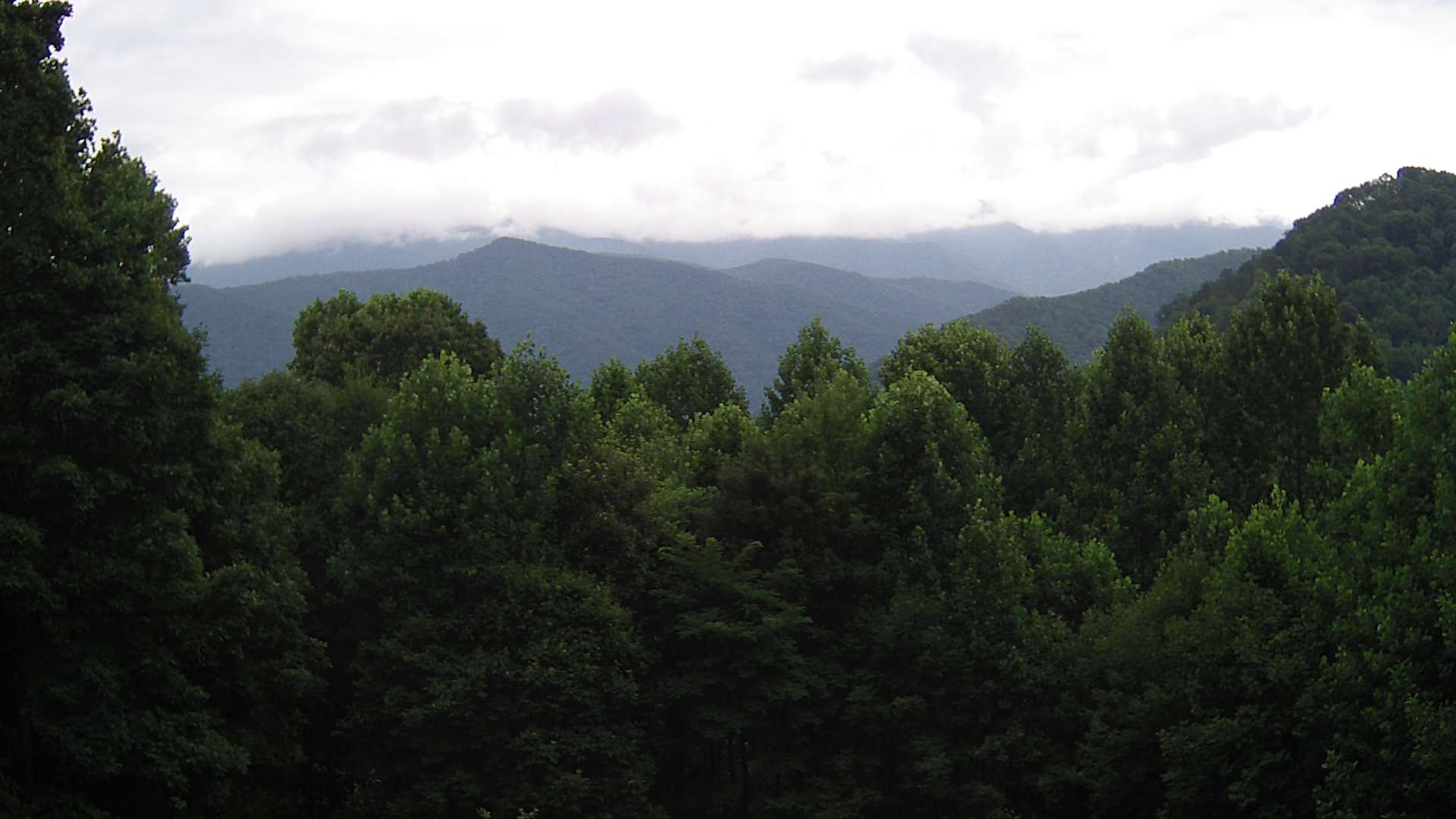 click for next image... slideshow image