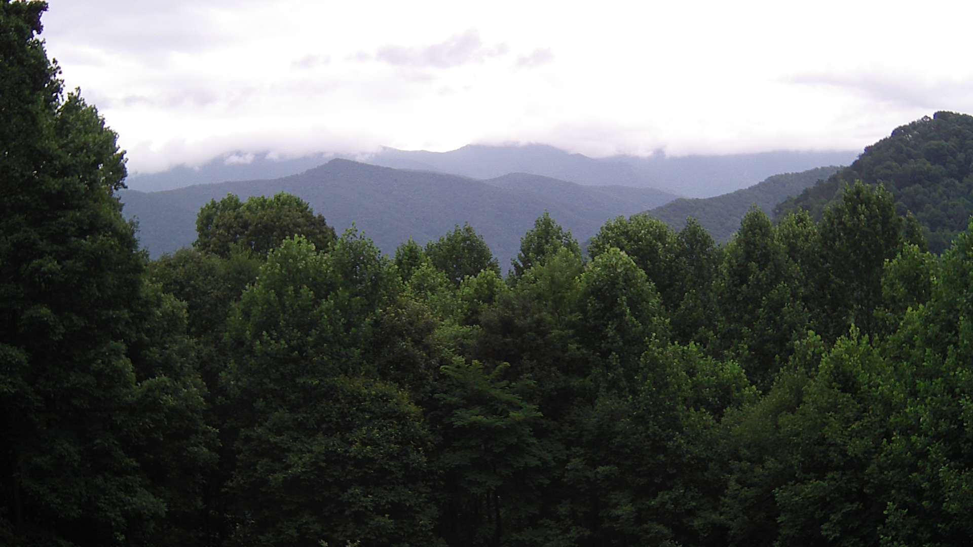 click for next image... slideshow image