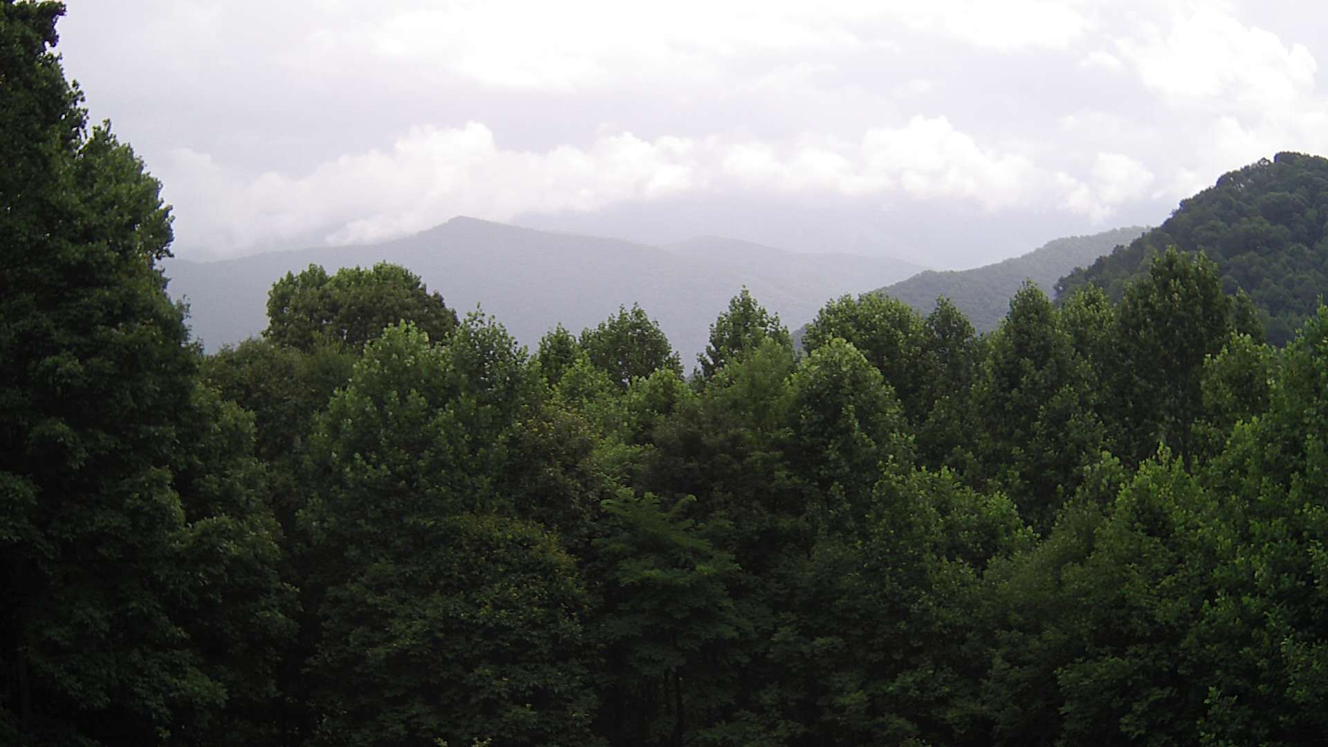 click for next image... slideshow image