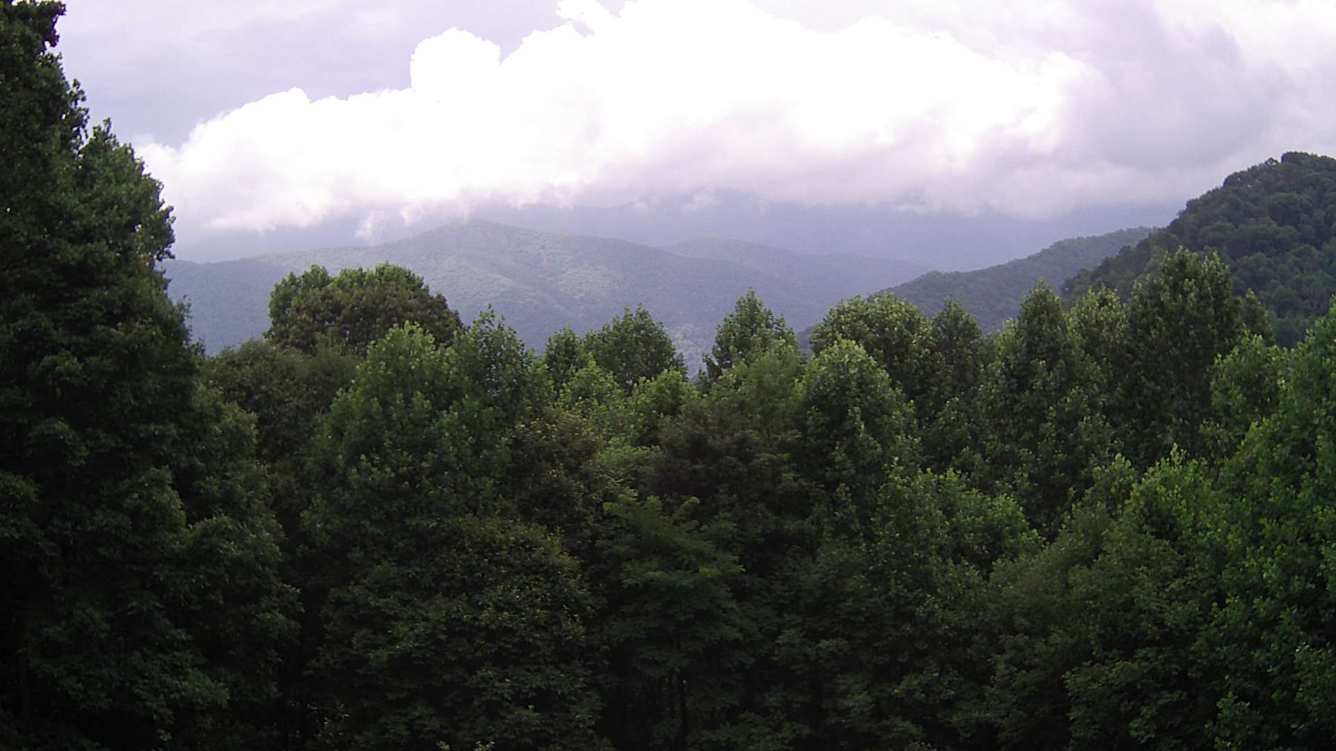 click for next image... slideshow image