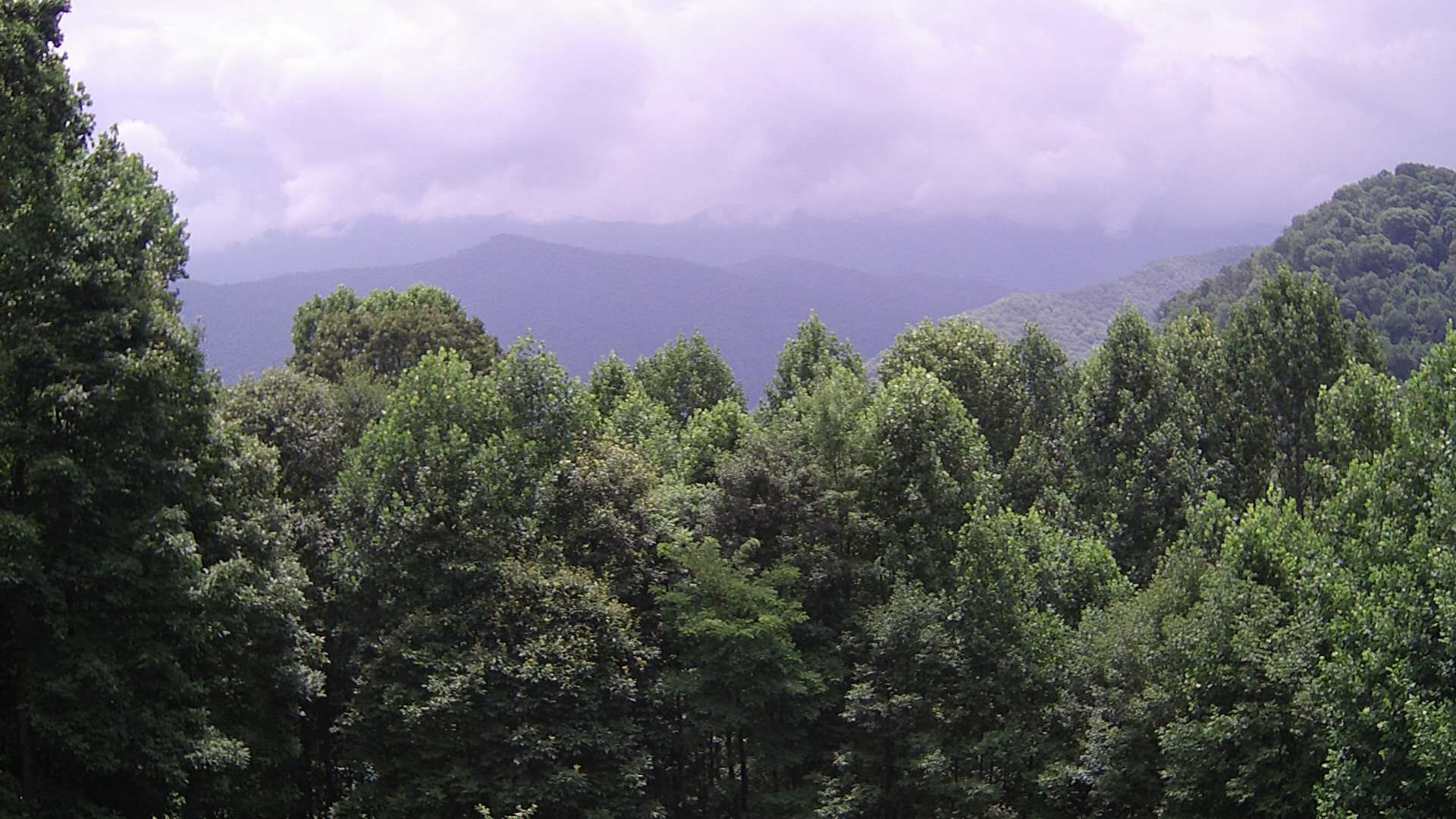 click for next image... slideshow image