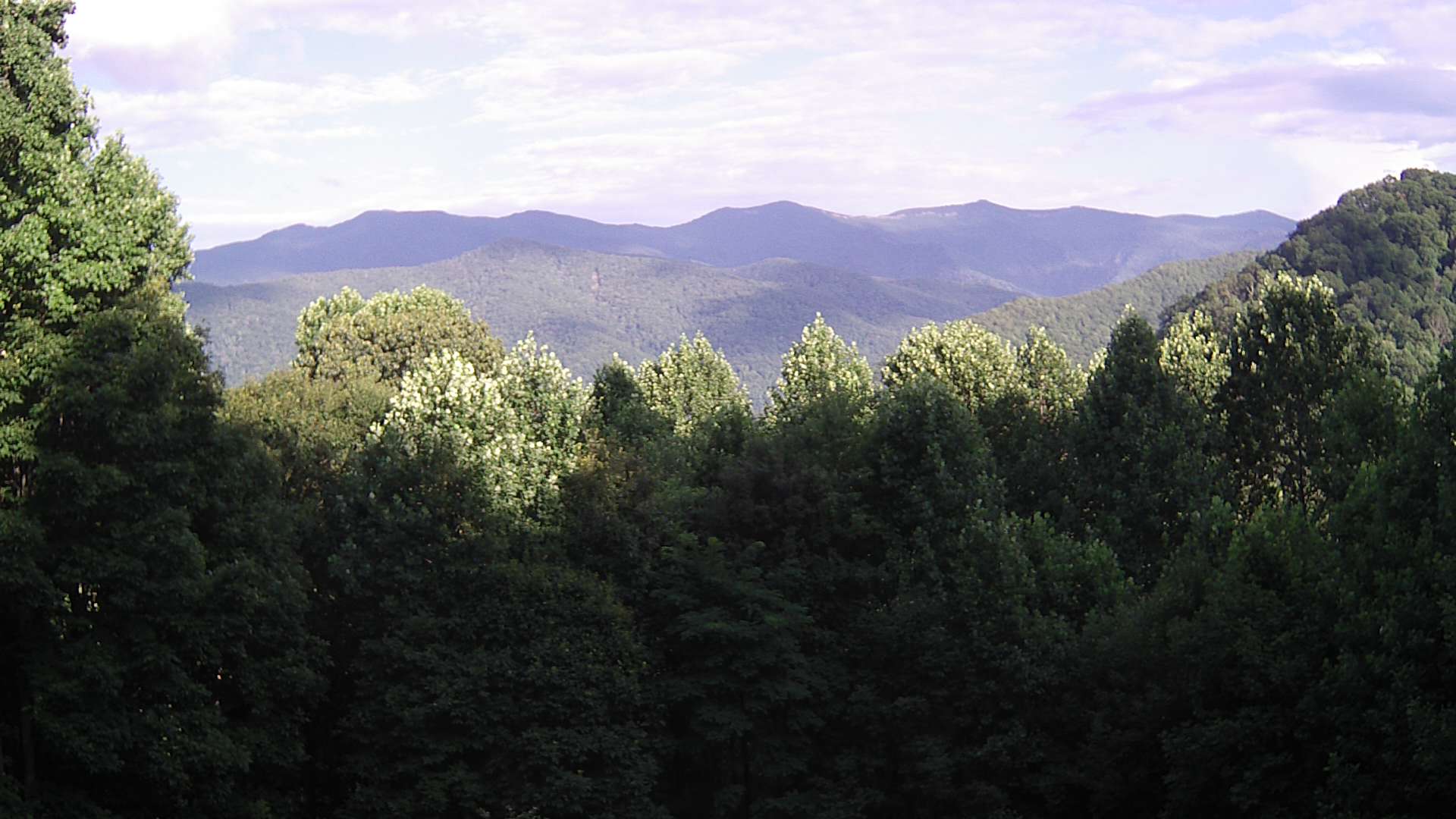 click for next image... slideshow image