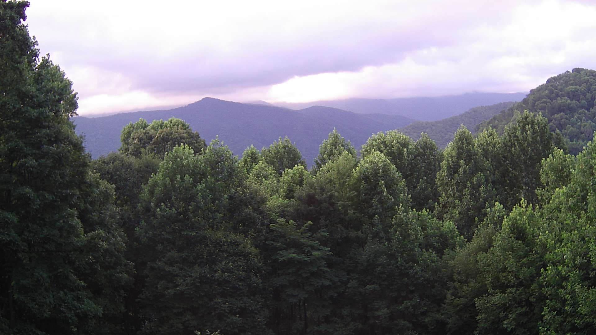 click for next image... slideshow image