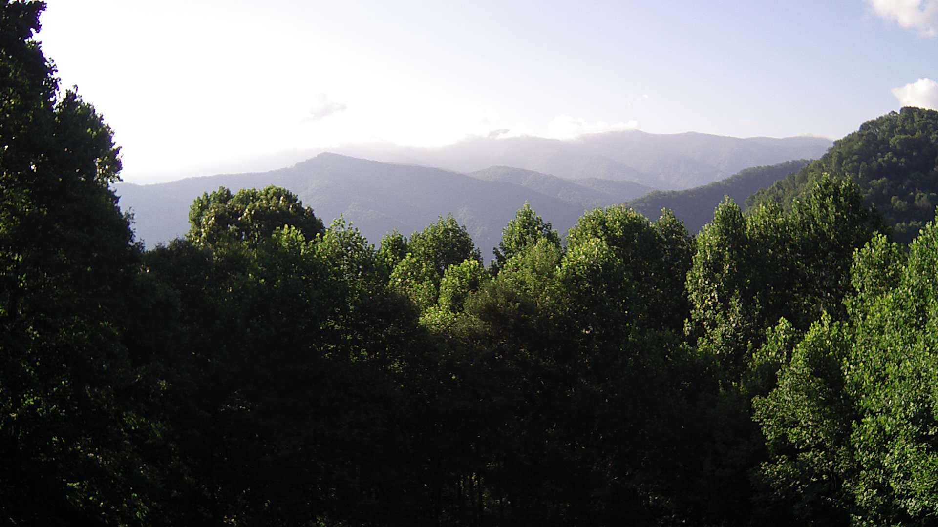 click for next image... slideshow image