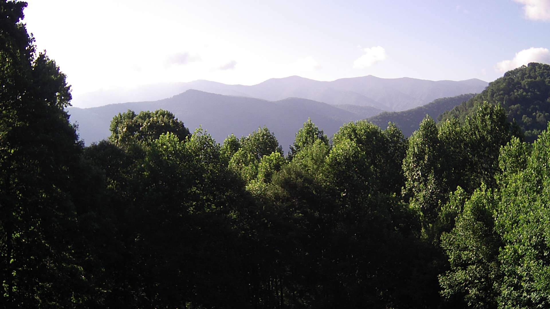 click for next image... slideshow image