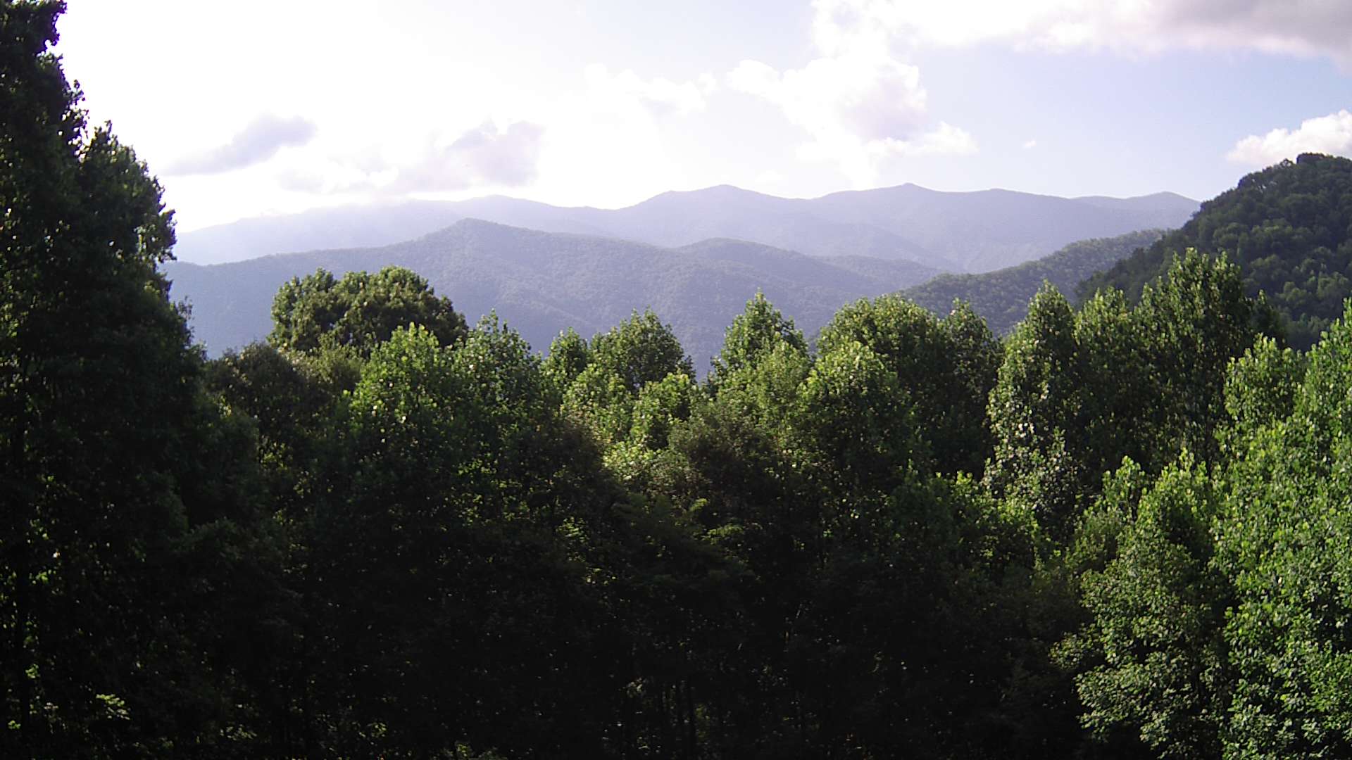 click for next image... slideshow image