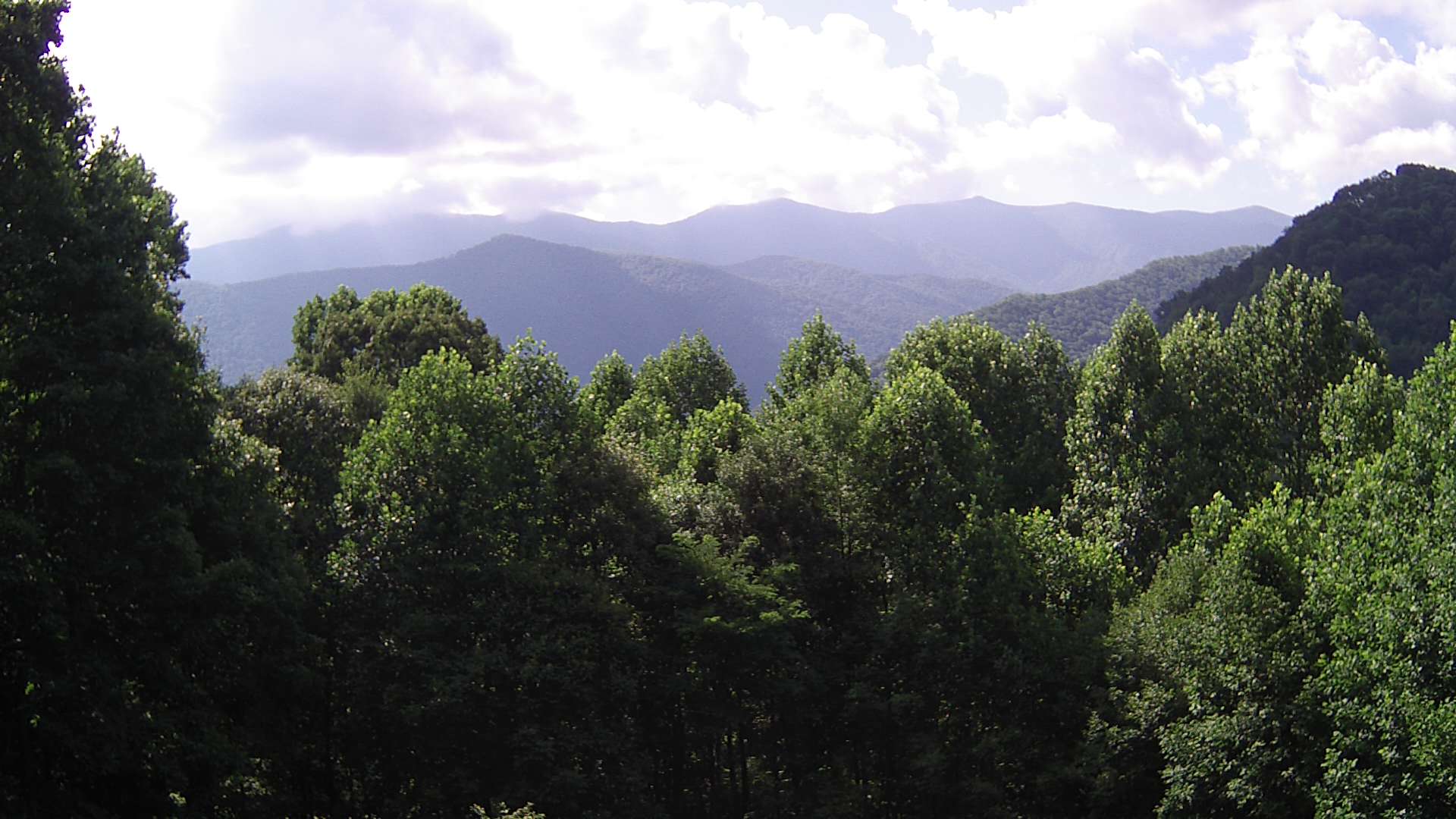 click for next image... slideshow image