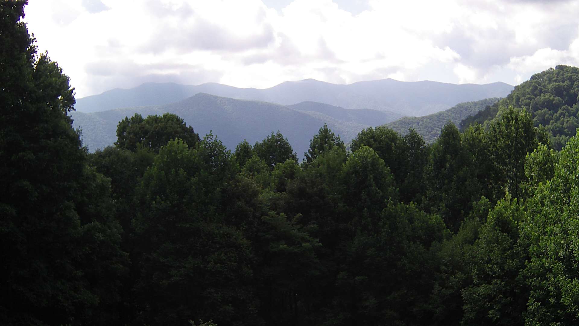 click for next image... slideshow image
