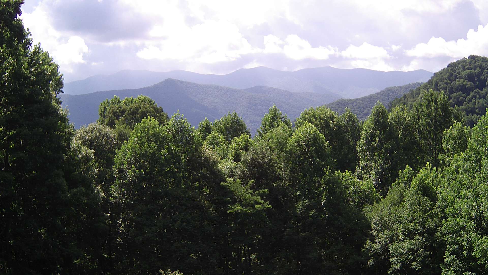 click for next image... slideshow image