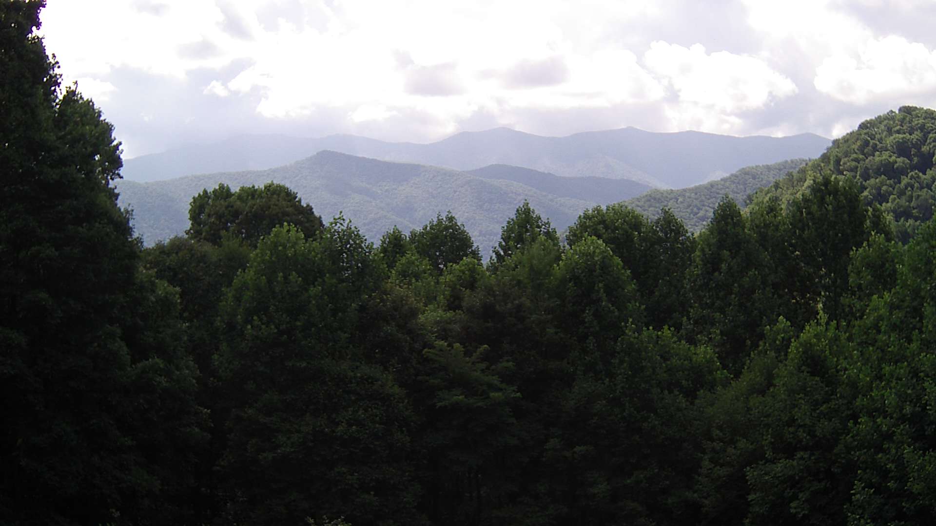 click for next image... slideshow image