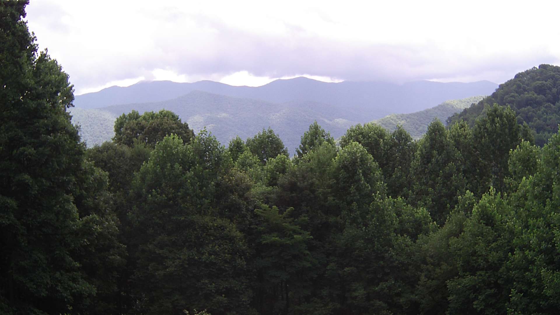 click for next image... slideshow image