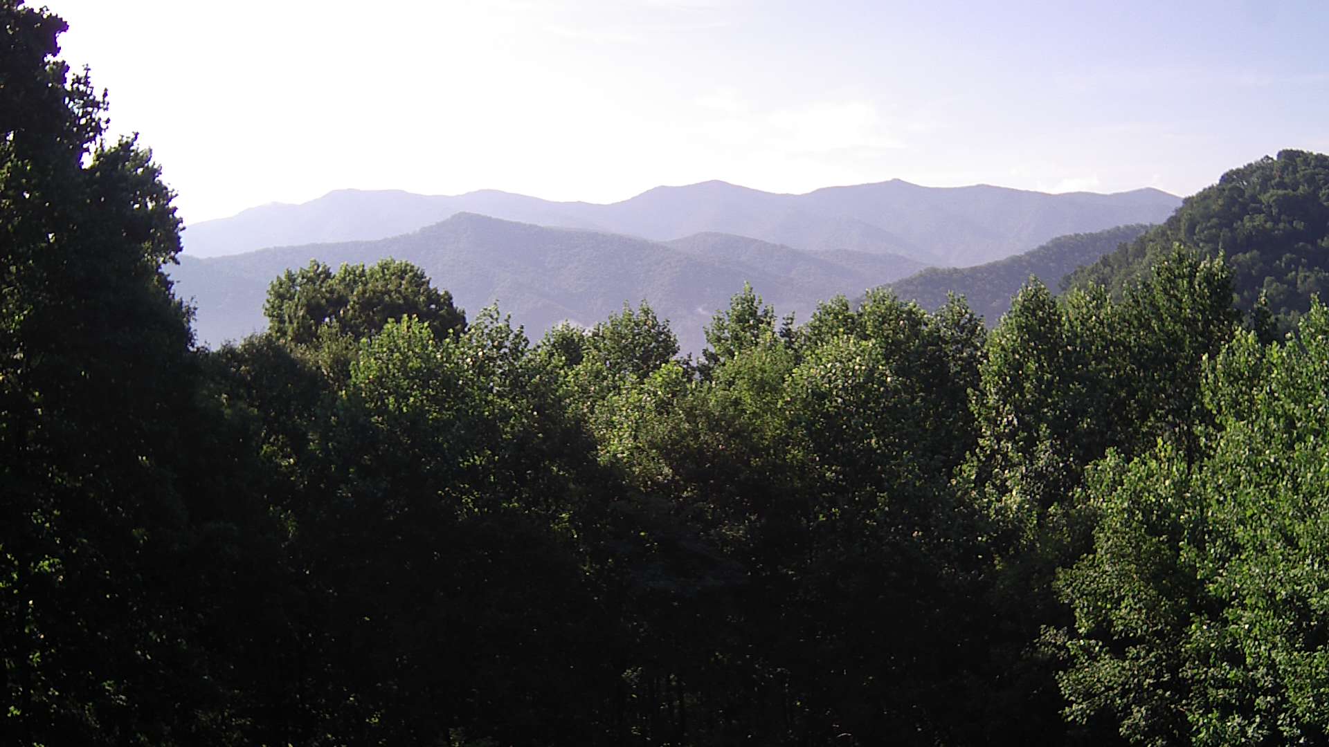 click for next image... slideshow image