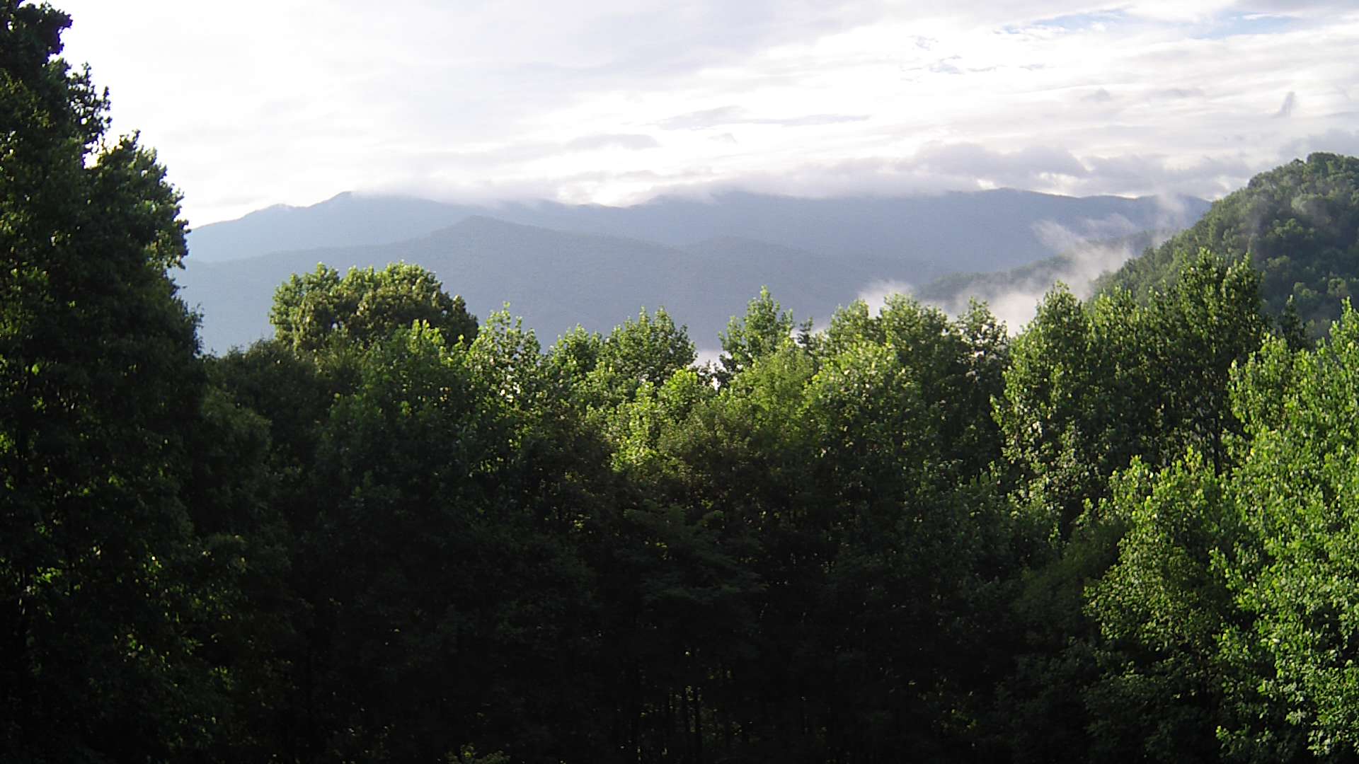 click for next image... slideshow image